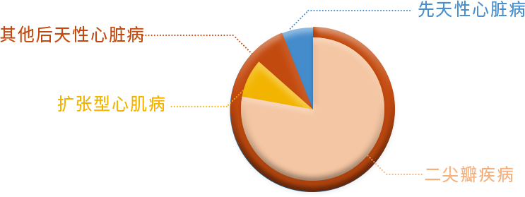 95%的犬心脏病属于后天性心脏病